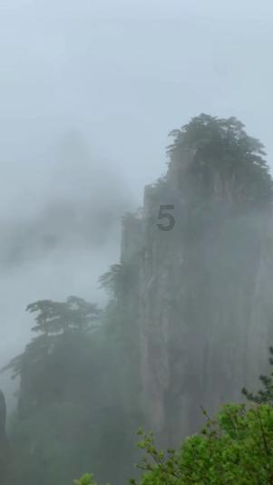生化危机：浣熊市行动