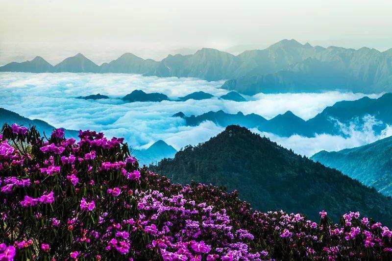 整蛊邻居